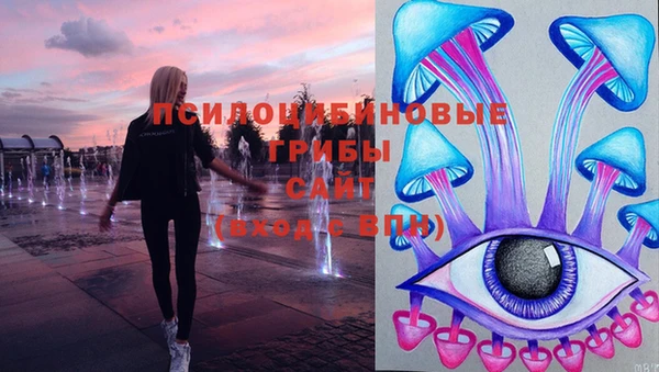 экстази Богородицк
