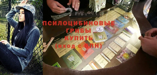 экстази Богородицк