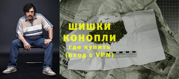 тгк Богданович
